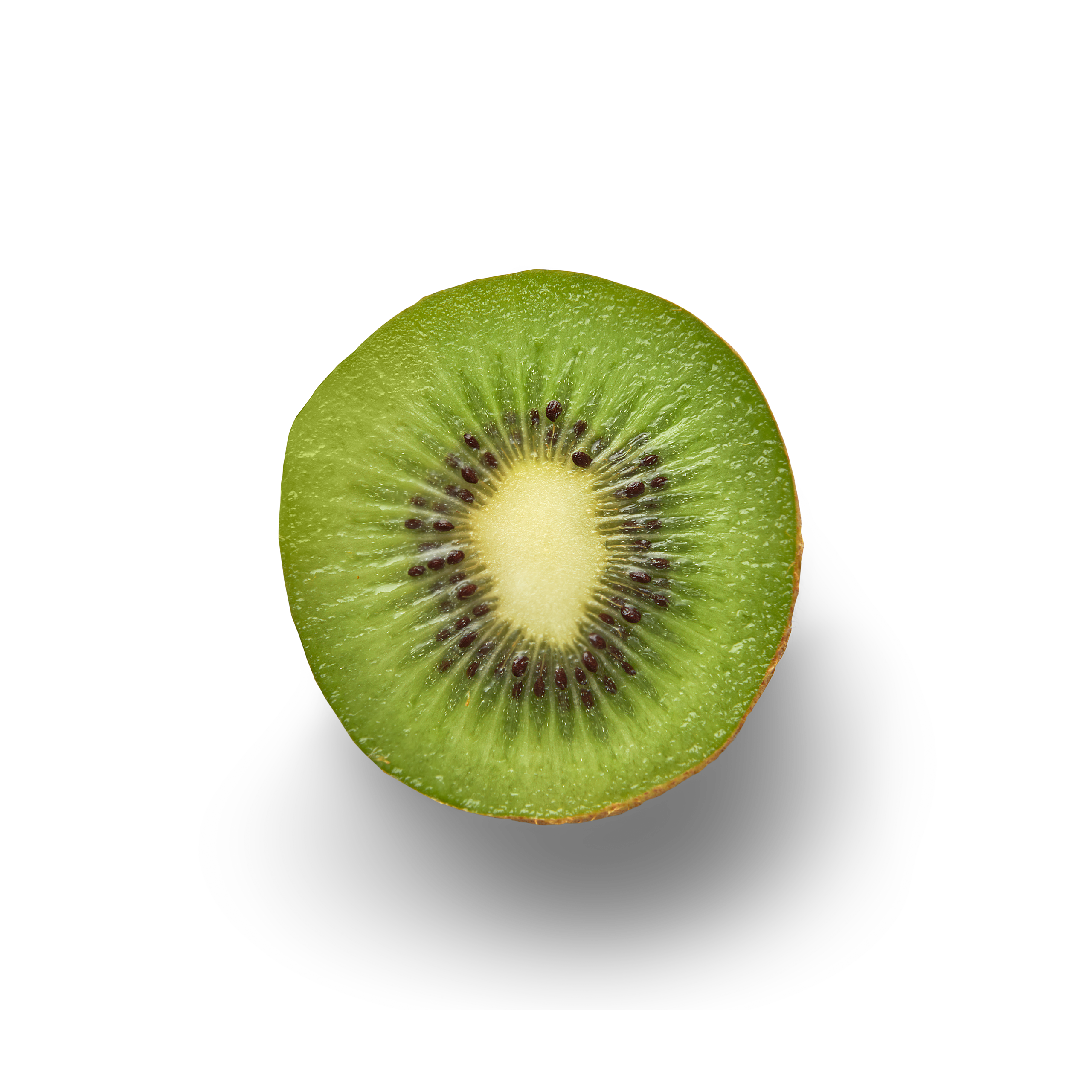 Kiwi Half Topview