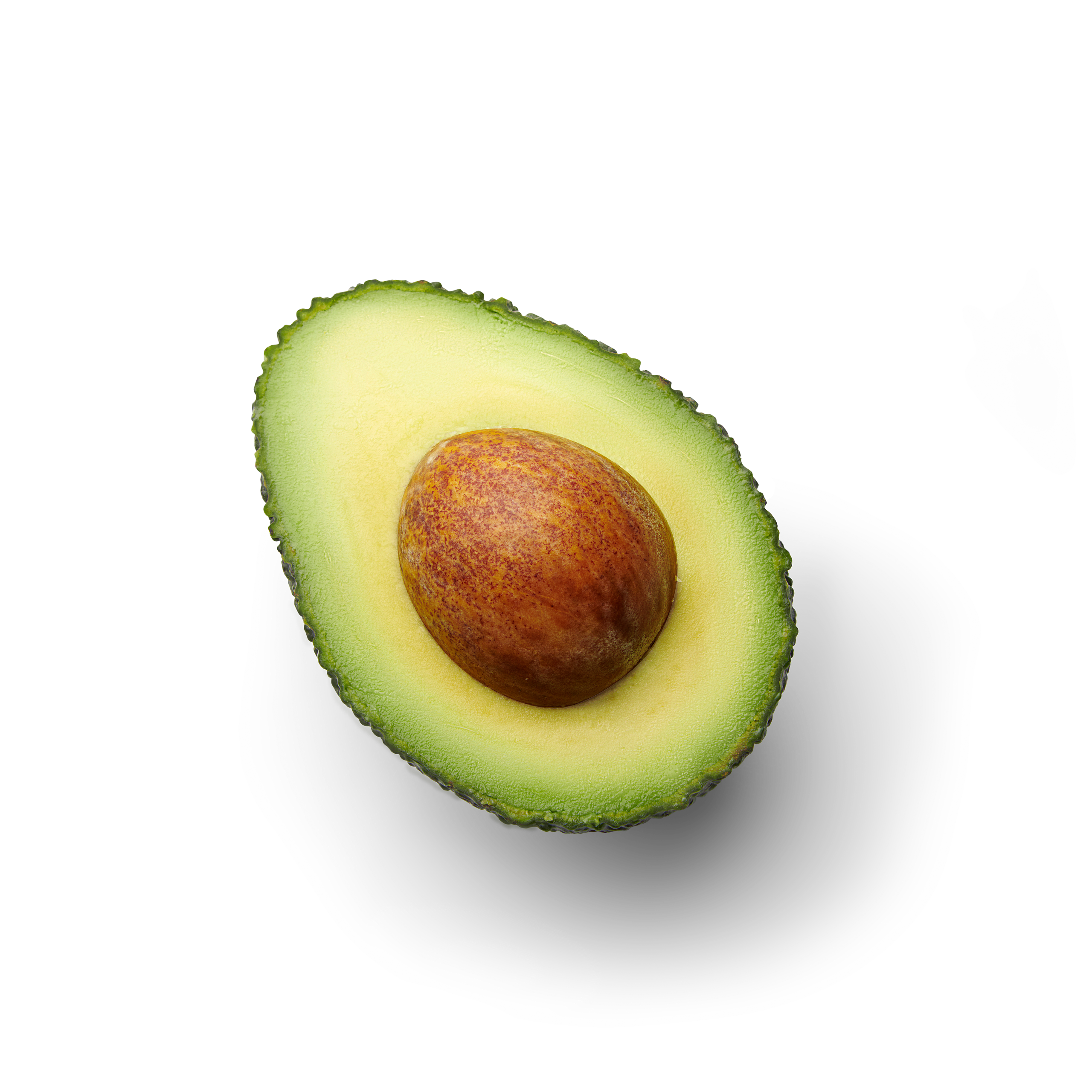 Halve avocado topview