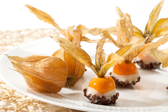 Physalis berries in chocolate