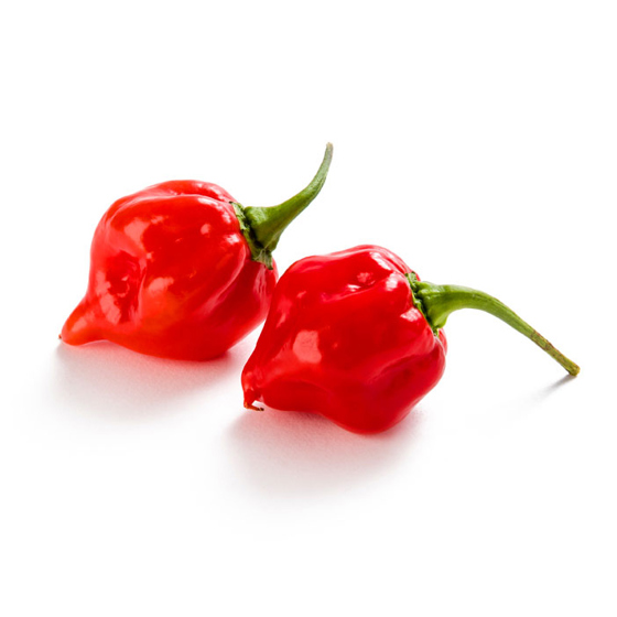 EAT ME Trinidad Scorpion Product photo