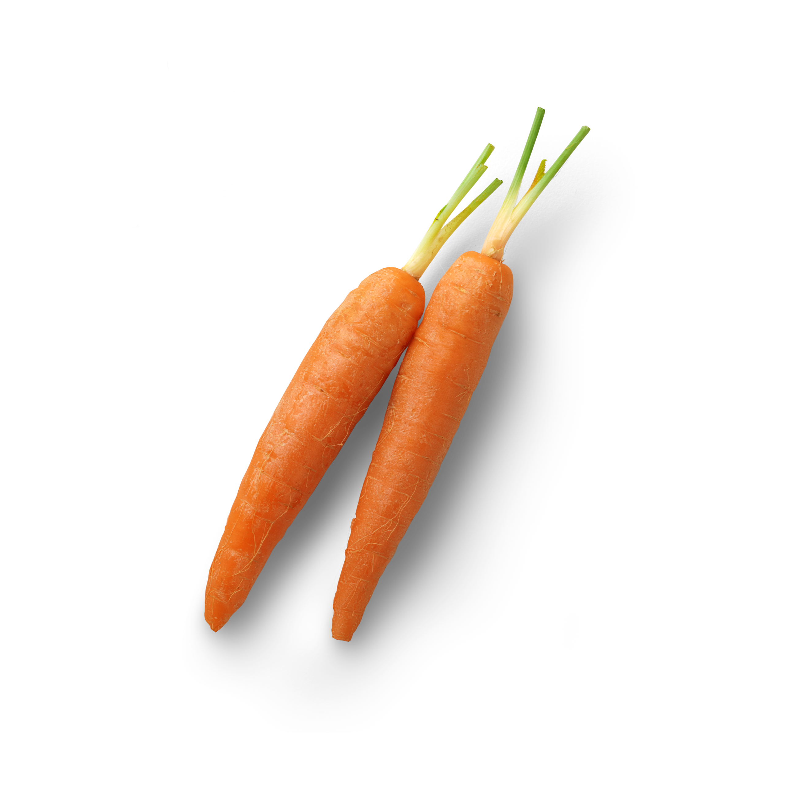 Mini Carrot Draufsicht