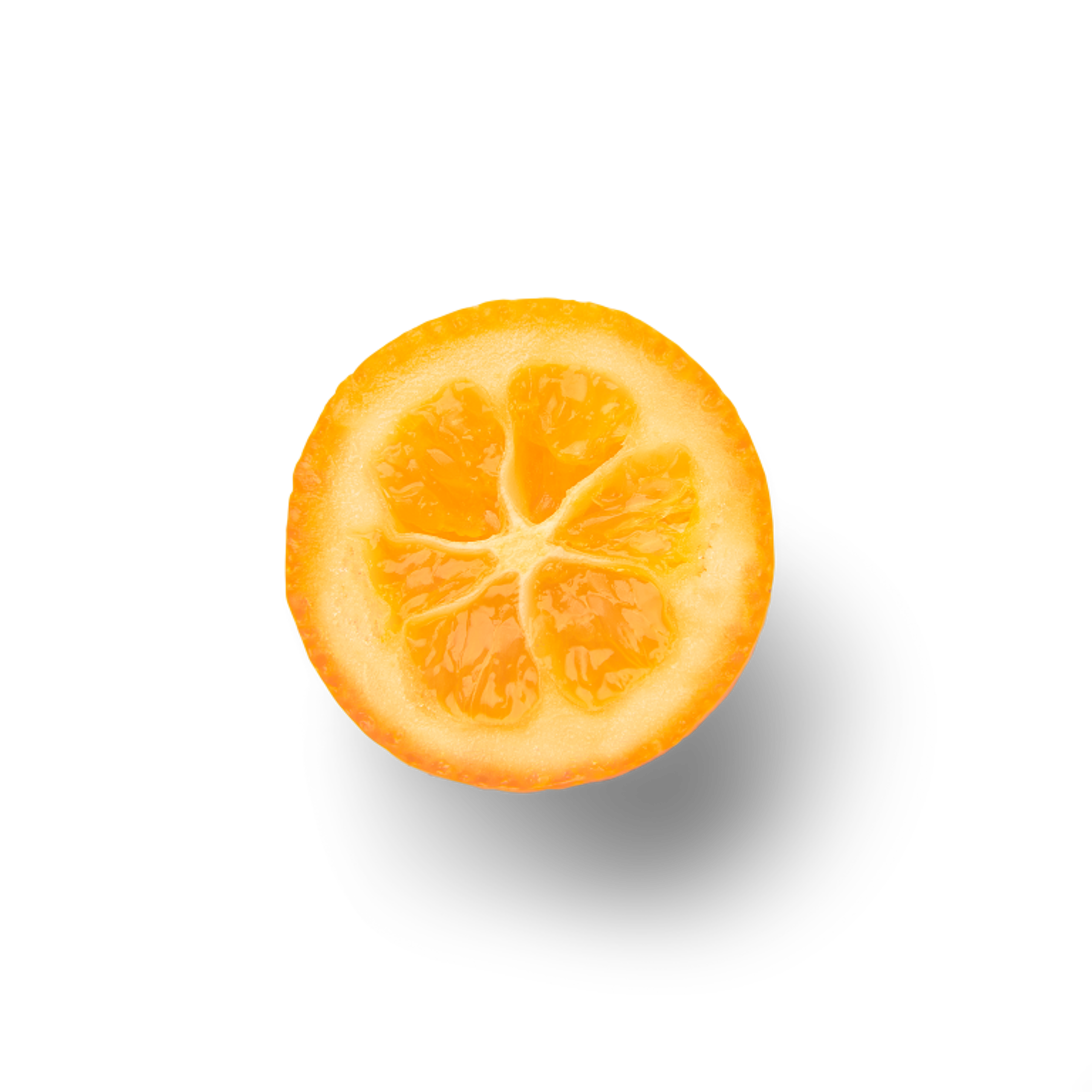 Kumquat Half Topview