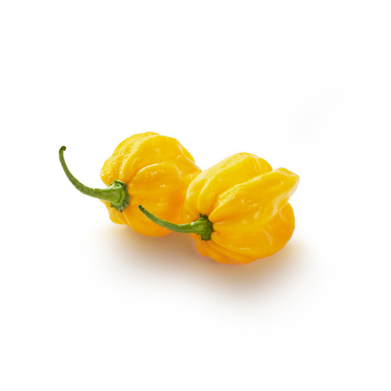 EAT ME Habanero Pepper Product photo