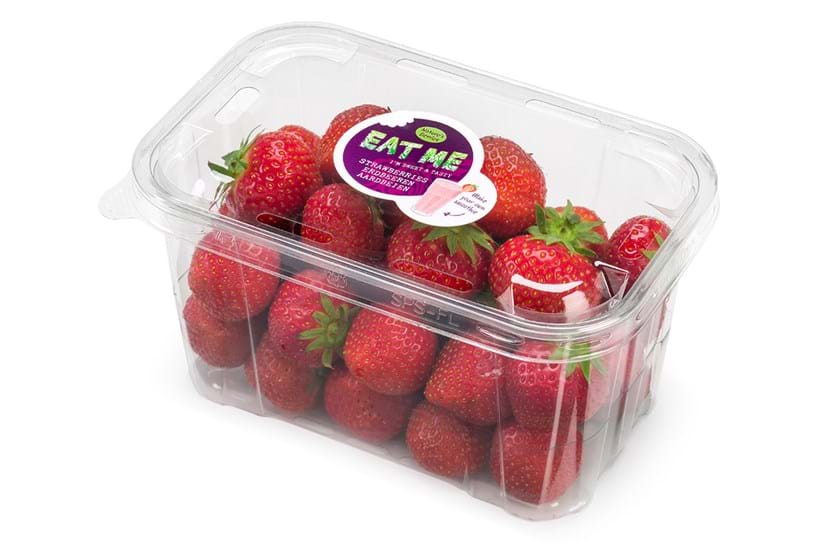EAT ME Erdbeer-Plastikschüssel