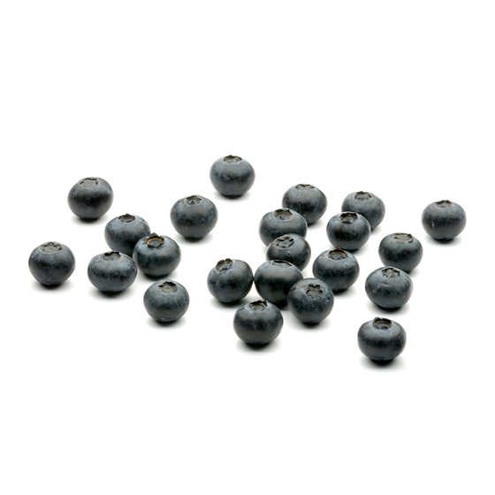 Blue Berries Product Photo