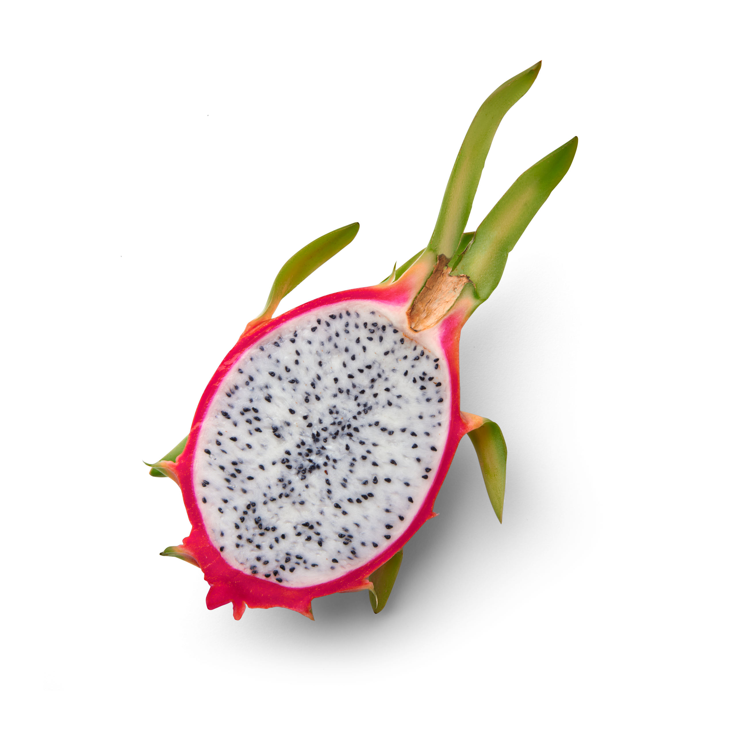 Half pitahaya topview