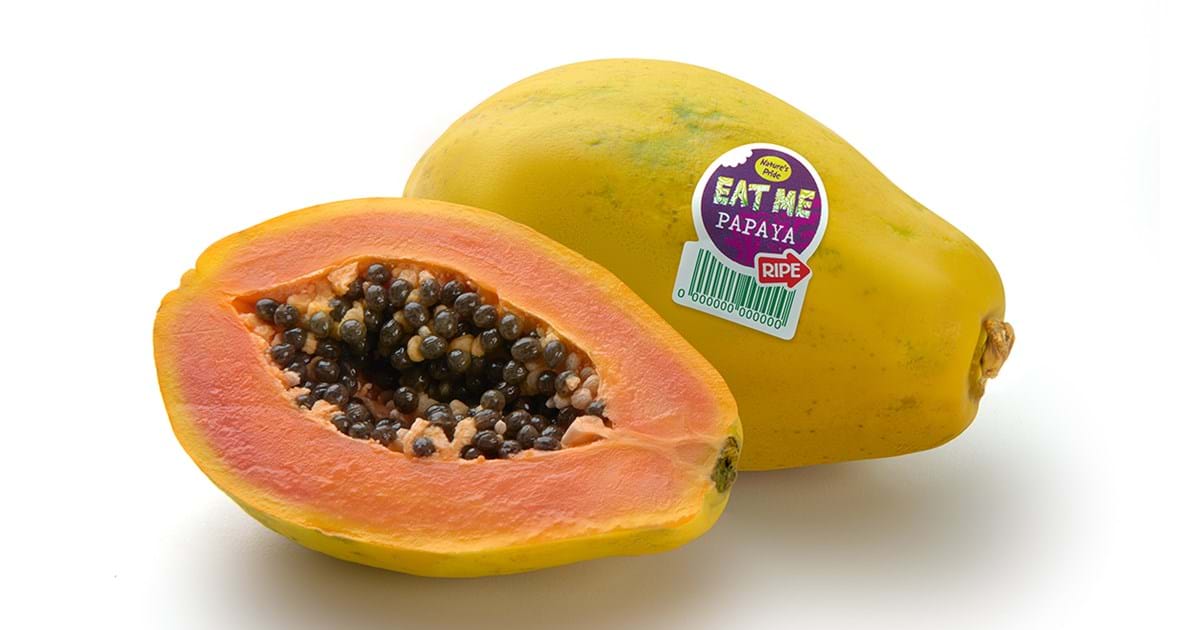 spannend atoom Editor EAT ME papaja's koop je het hele jaar eetrijp– EAT ME