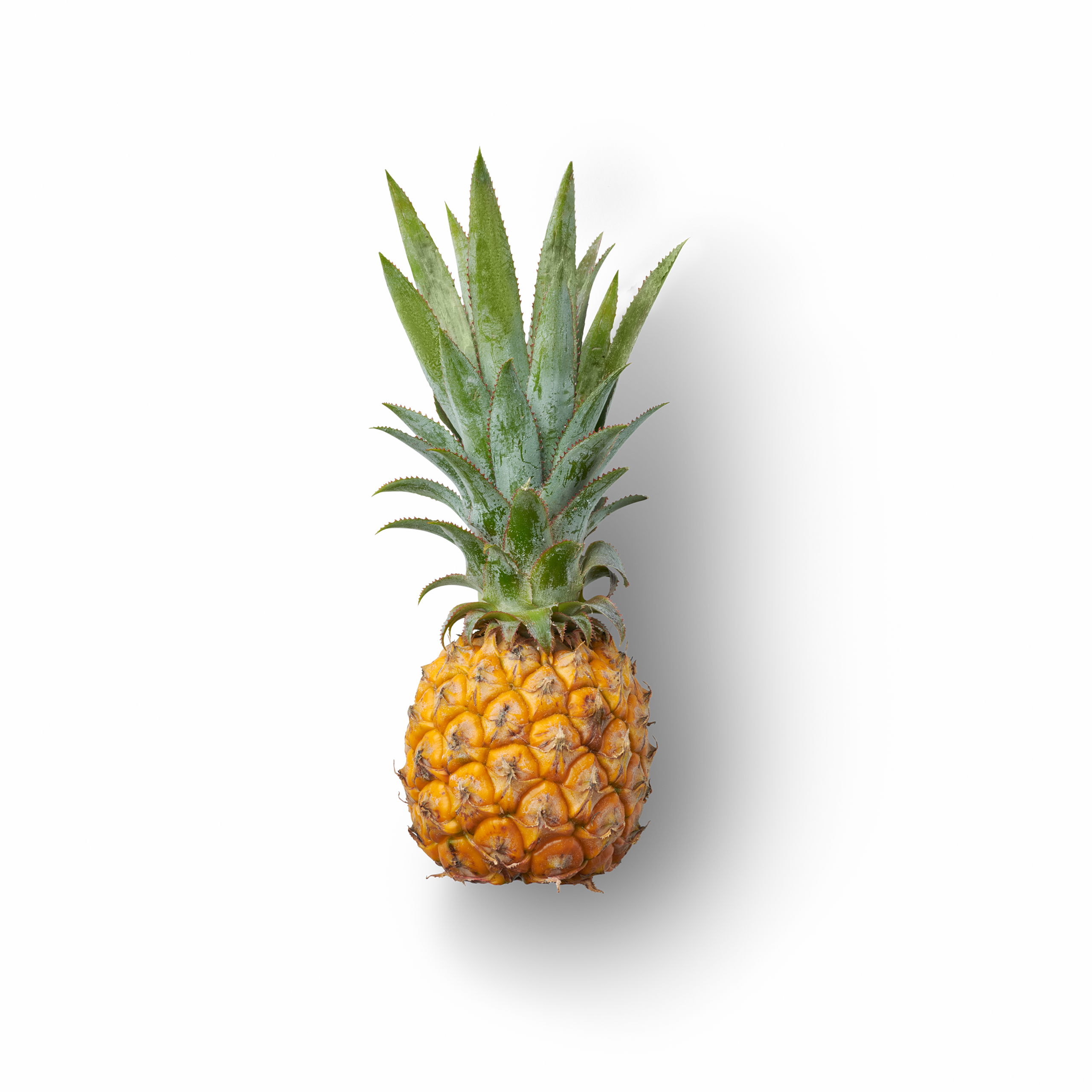 Pineapple Topview