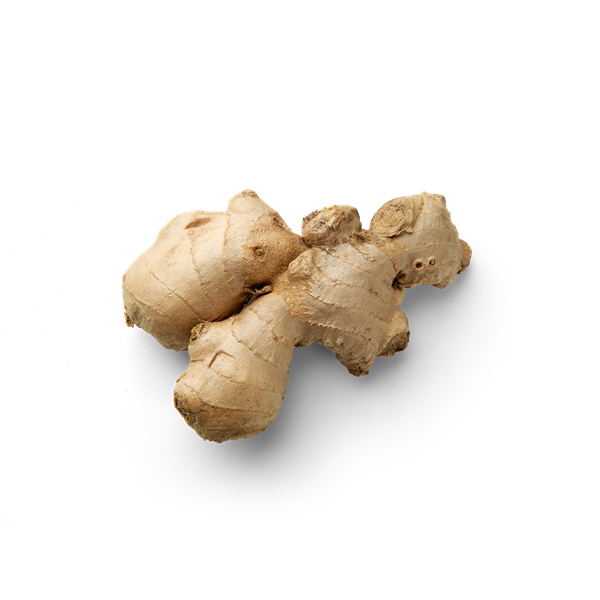 Ginger small topview